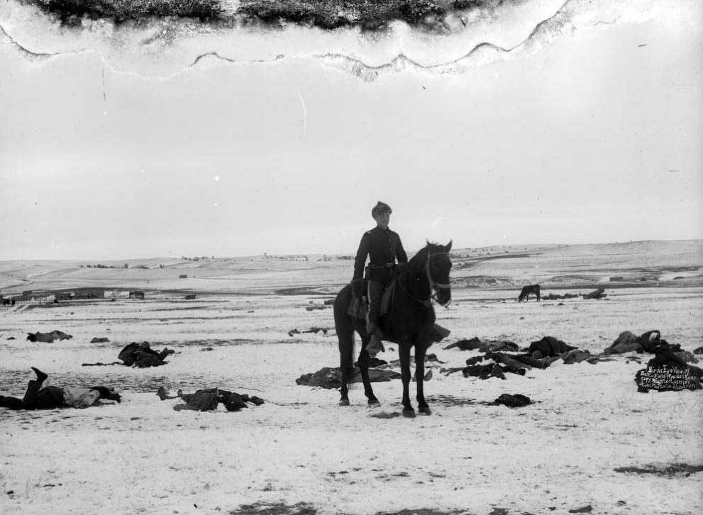 Remains of Lakota & horses after Wounded Knee.