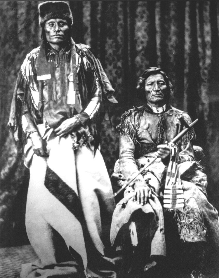 Picture of Little Wolf and Morning Star